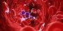 Bone Marrow Transplant in South Kolkata: A Center of Excelle