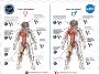 Advance with Space-Evolved Microbiome Science | Astrobiome