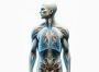 ALIV - LUNG DISEASES