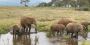 Best Time to Visit Tanzania