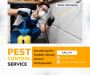 Affordable and Effective Exterminating Services in Western M