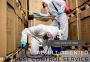 Trusted Wasps Control Service in Western Massachusetts 