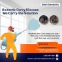 Franklin Hornets Control Professionals | Trusted Pest Contro