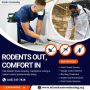 Hampden County Pest Control & Extermination Experts