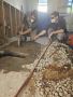 Get Expert Plumbing Services Phoenix Homeowners Trust 