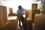  Best Movers Auckland.