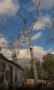 Tree Removal in Augusta – Safe, Fast, and Clean Tree Removal in Augusta – Safe, Fast, and Clean