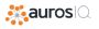 Auros Knowledge Systems