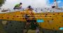 Children's Playground Equipment - Call 1300 433 364