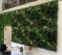 Australis Green wall