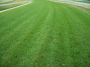 Choose the Top-Quality Turf in Adelaide Choose the Top-Quality Turf in Adelaide