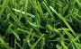 Transform Your Lawn: Find the Best Instant Turf in Adelaide