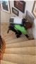 Summit Cleaning Services – Eco-Friendly & Detailed Clean!
