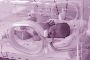 Best Hospitals in Hyderabad for Pregnancy Care
