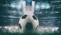 Sports League Management Software