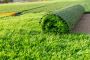 Find the Best Artificial Lawns in Hampshire - Award Resin