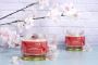 Top Scented Exotic Candle Manufacturer in India