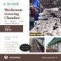 Mushroom Growing Chamber Manufacturer