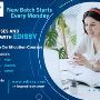 Professional courses for IT sector || IT courses || Project 