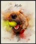Wondering Where to Get a Watercolor Dog Portrait? Read Here!