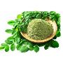 Discover the Power of Organic Moringa Powder