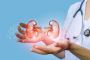 Kidney Care: Treatment Options for Every Stage