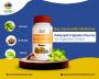Ayurvedic Medicine Patanjali Triphala Churna for Digestion