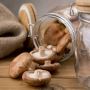 Ancient Secret To Modern Wellness With Medicinal Mushroom