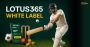 Lotus365 White Label- Start Your Own Betting Platform Now!