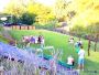 Host Unforgettable Corporate Events at Back To Nature