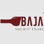 Reasons Why You Should Go On A Wine-Tasting Tour 