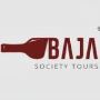 Raise Your Glass: Insider Tips for the Perfect Wine Tasting 