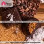 UAE Chocolates: Exquisite Taste and Premium Quality