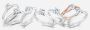 Bakker Diamonds: Your Best Diamond Jeweller in Brisbane