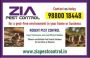 Get rid of Rodent | Bed Bug pest Control | Residence and off