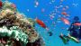 Book Bali Snorkeling Tour