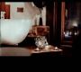 Unwind at the Best Day Spa in Perth for Ultimate Serenity