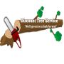 Baltimore Tree Discount Service Baltimore Tree Discount Service