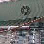 High Quality Bird Net For Balcony