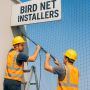 Find Trusted Bird Net Installers Near You