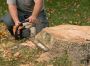 Stump Removal
