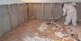 Basement Mold Removal – Fast, Safe & Affordable! Basement Mold Removal – Fast, Safe & Affordable!