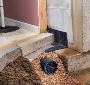Affordable Basement French Drain Solutions Near You