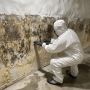 Basement Mold Removal, Breathe Easier, Live Healthier