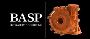 BASP Hydraulic Consulting
