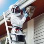 Wasp Nest Removal Vaughan – Same Day Service Wasp Nest Removal Vaughan – Same Day Service