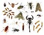 Wasp Nest Removal Kleinberg – Same Day Service Wasp Nest Removal Kleinberg – Same Day Service