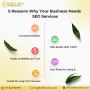 Best SEO Company in Mohali
