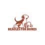 Find Joy Today Beagle Puppy to Buy from Experts