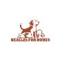 Choose Trusted Beagle Puppies Craigslist Alternatives Today